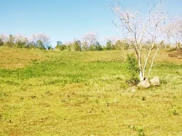 Agricultural Land