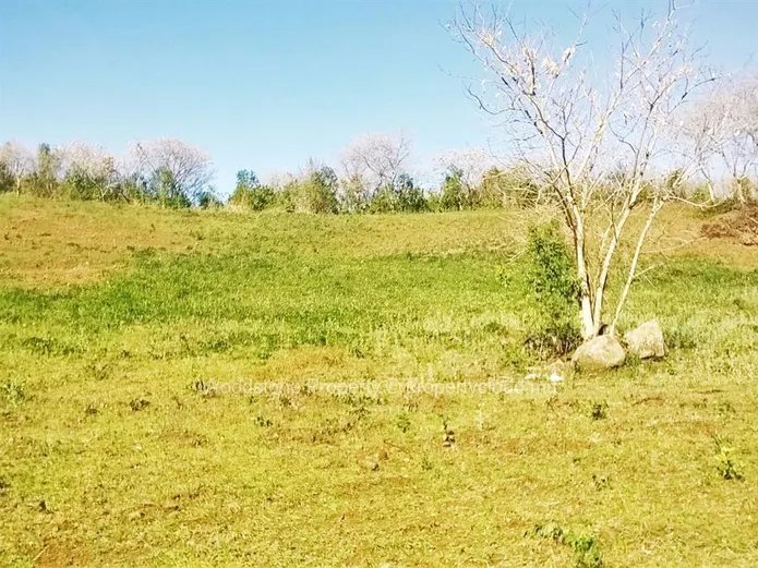 La Salette Plot