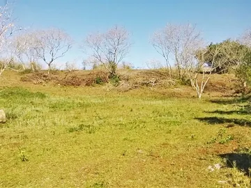 Agricultural Land