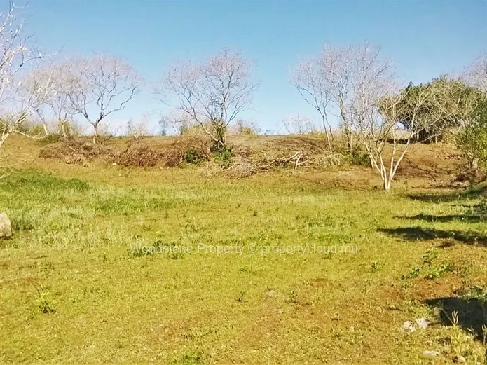 La Salette Plot