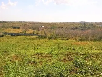 Agricultural Land