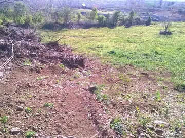 Agricultural Land